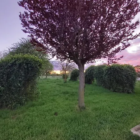 Casa En El Campo * Barbadillo