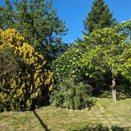 Casa En El Campo بيت للعطل *