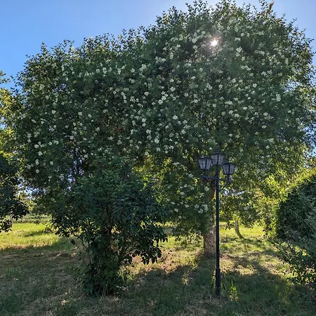 Casa En El Campo *