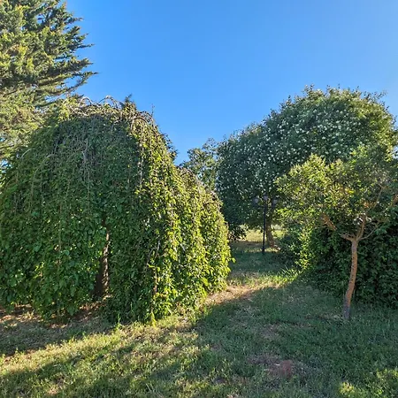 Casa En El Campo * Barbadillo