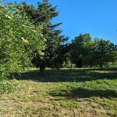 Casa En El Campo * Barbadillo