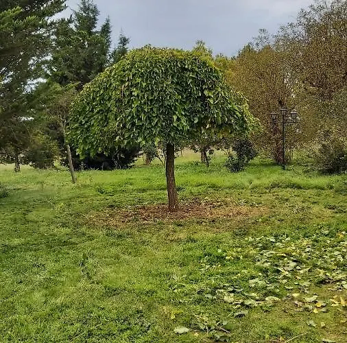 Casa En El Campo בית נופש
