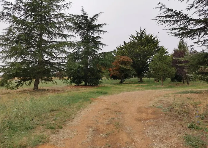 Casa En El Campo * Barbadillo